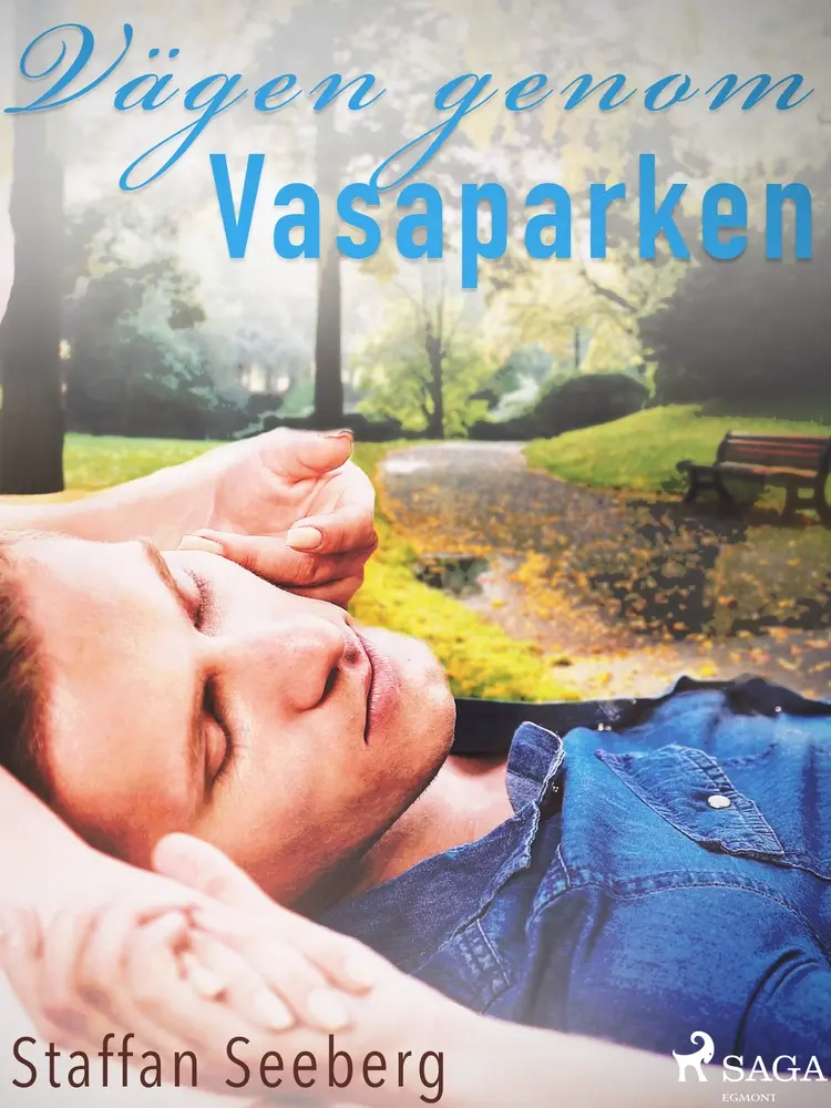 Vägen genom Vasaparken af Staffan Seeberg