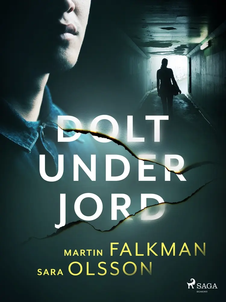 Dolt under jord af Martin Falkman