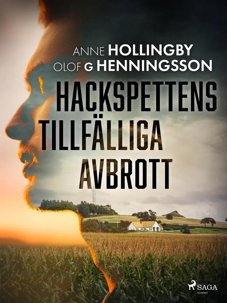 Hackspettens tillfälliga avbrott af Anne Hollingby