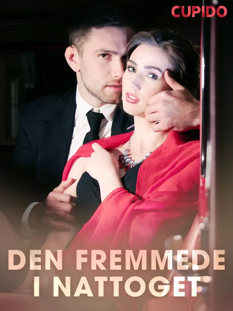 Den fremmede i nattoget af Cupido And Others