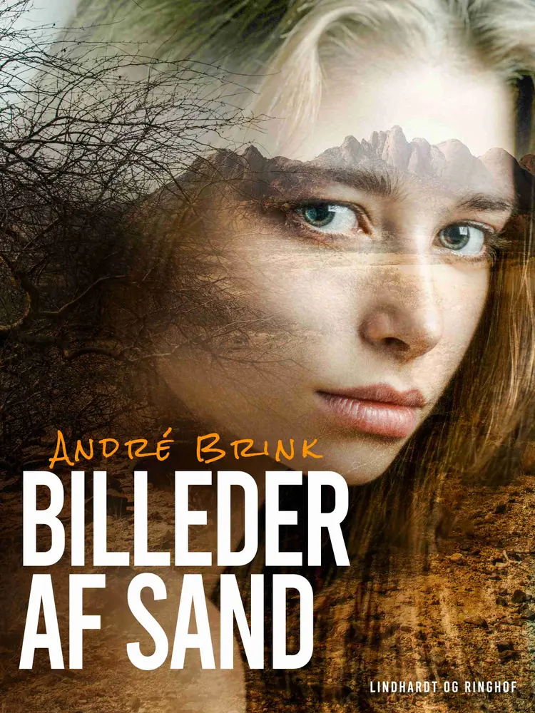 Billeder af sand af André Brink