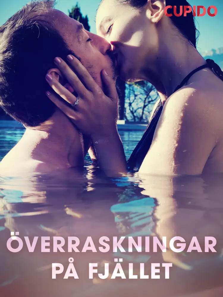 Överraskningar på fjället af Cupido And Others