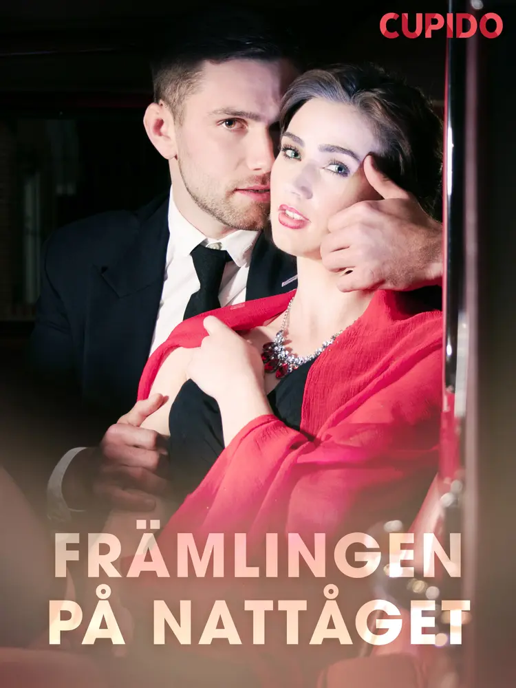 Främlingen på nattåget af Cupido And Others