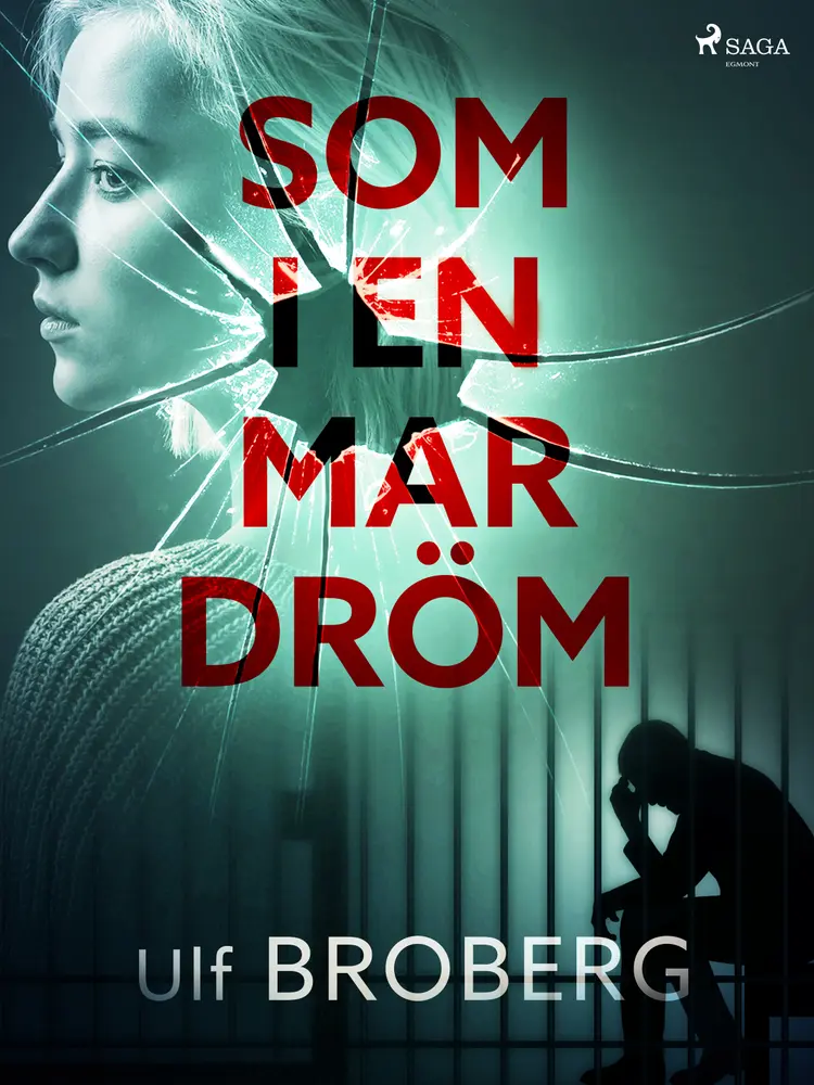 Som i en mardröm af Ulf Broberg