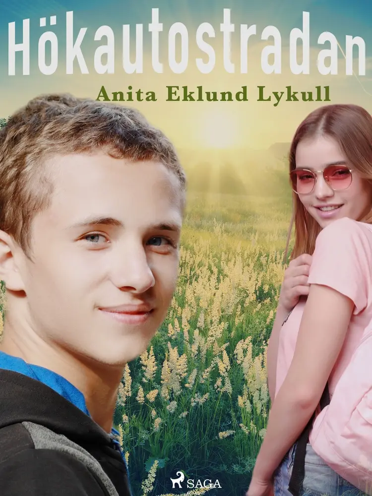 Hökautostradan af Anita Eklund Lykull