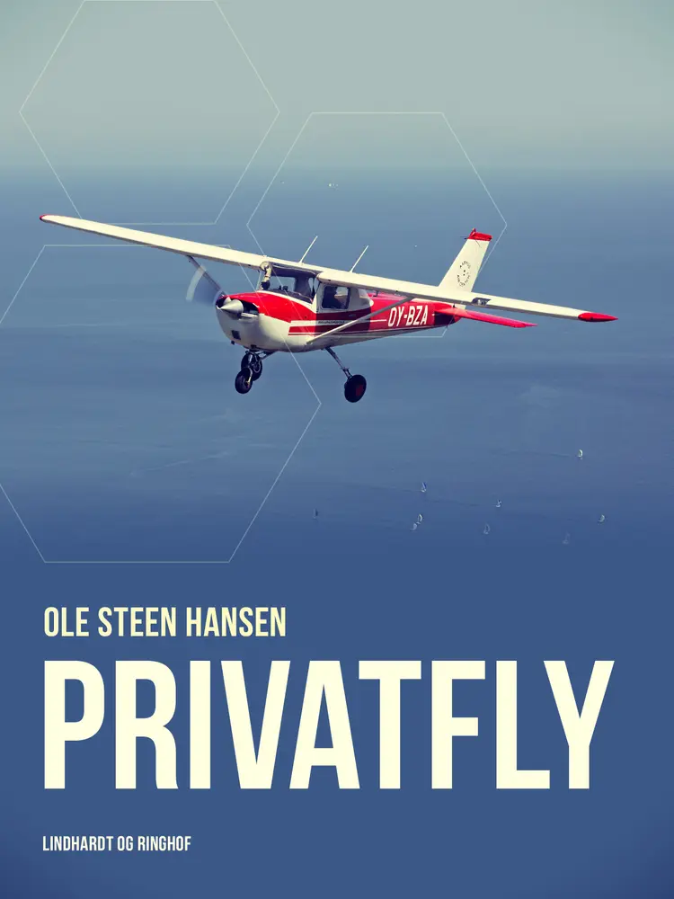 Privatfly af Ole Steen Hansen