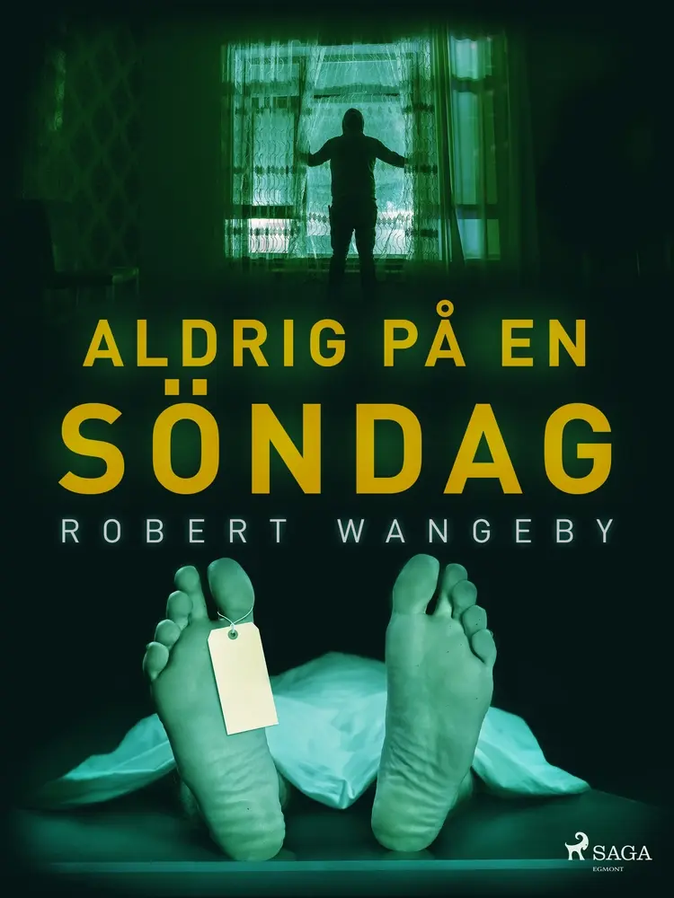 Aldrig på en söndag af Robert Wangeby