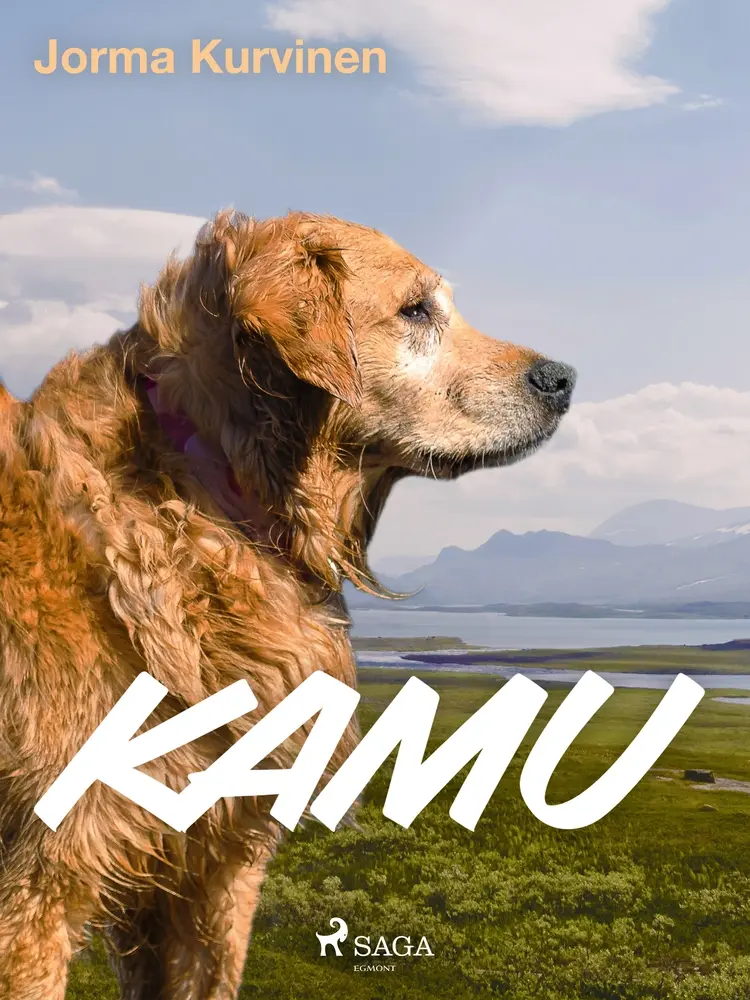 Kamu af Jorma Kurvinen
