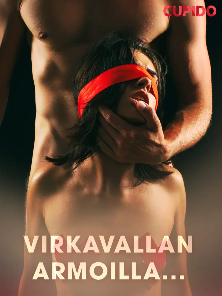 Virkavallan armoilla... af Cupido And Others