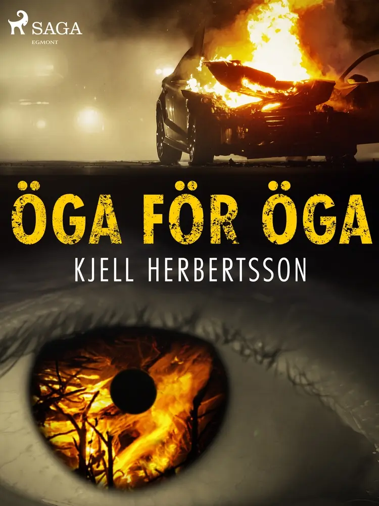 Öga för öga af Kjell Herbertsson