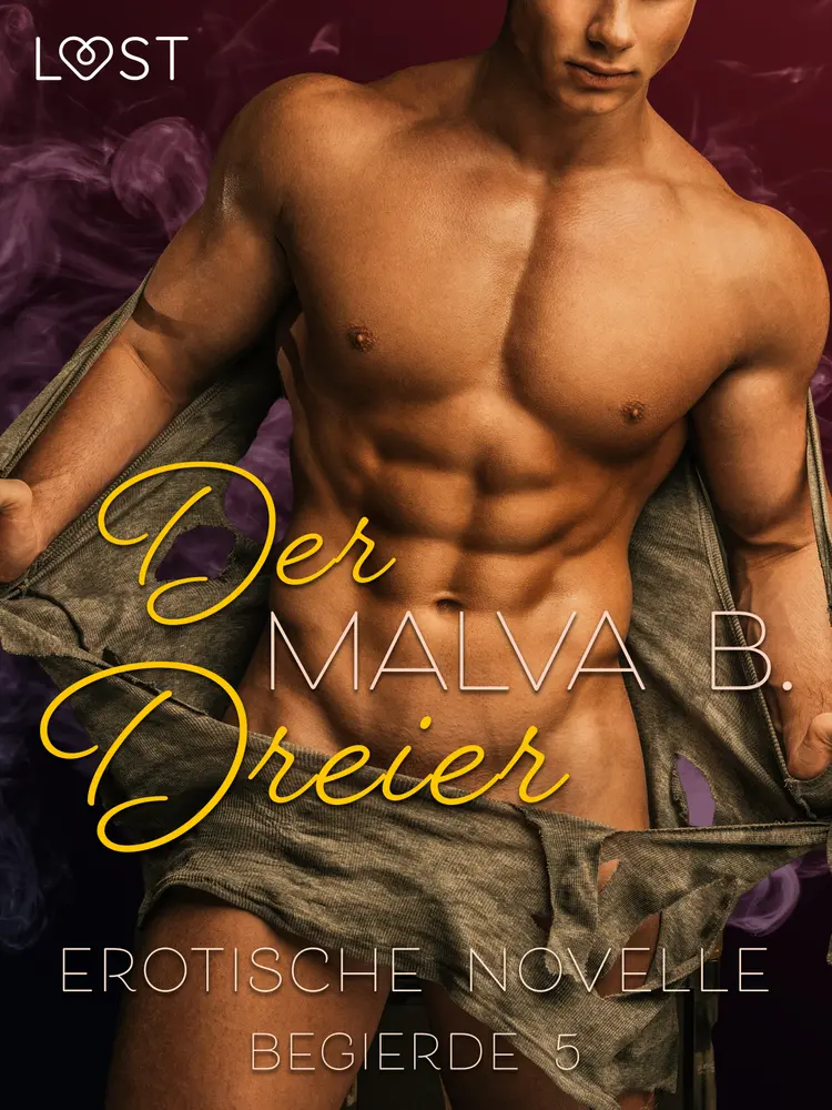 Begierde 5 - Der Dreier: Erotische Novelle af Malva B