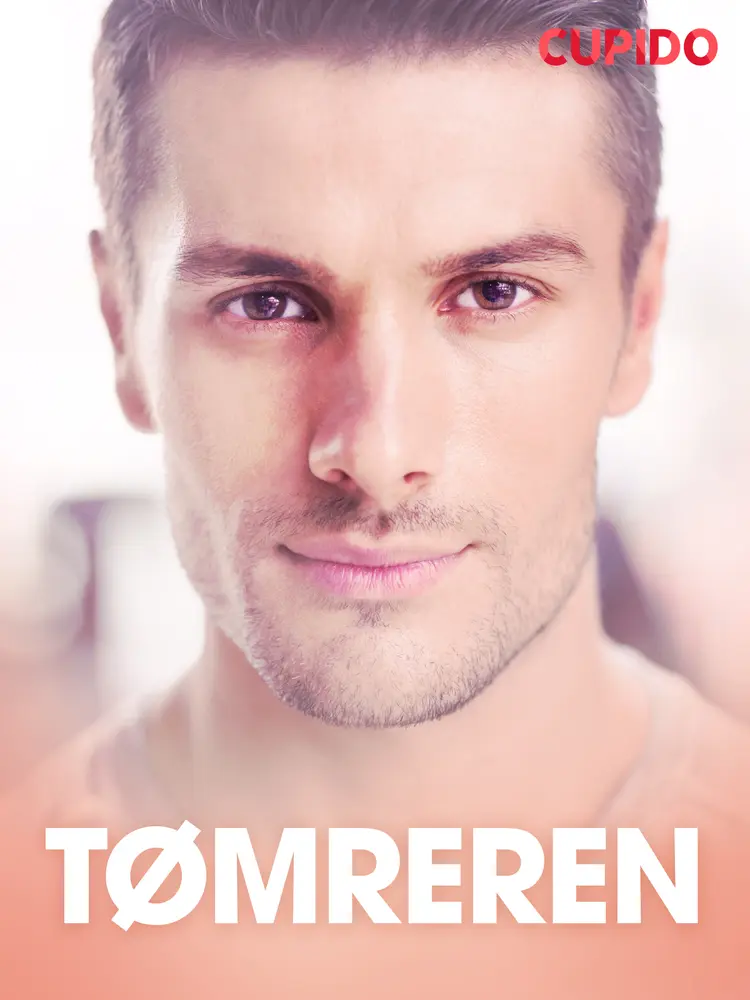 Tømreren - erotiske noveller af Cupido