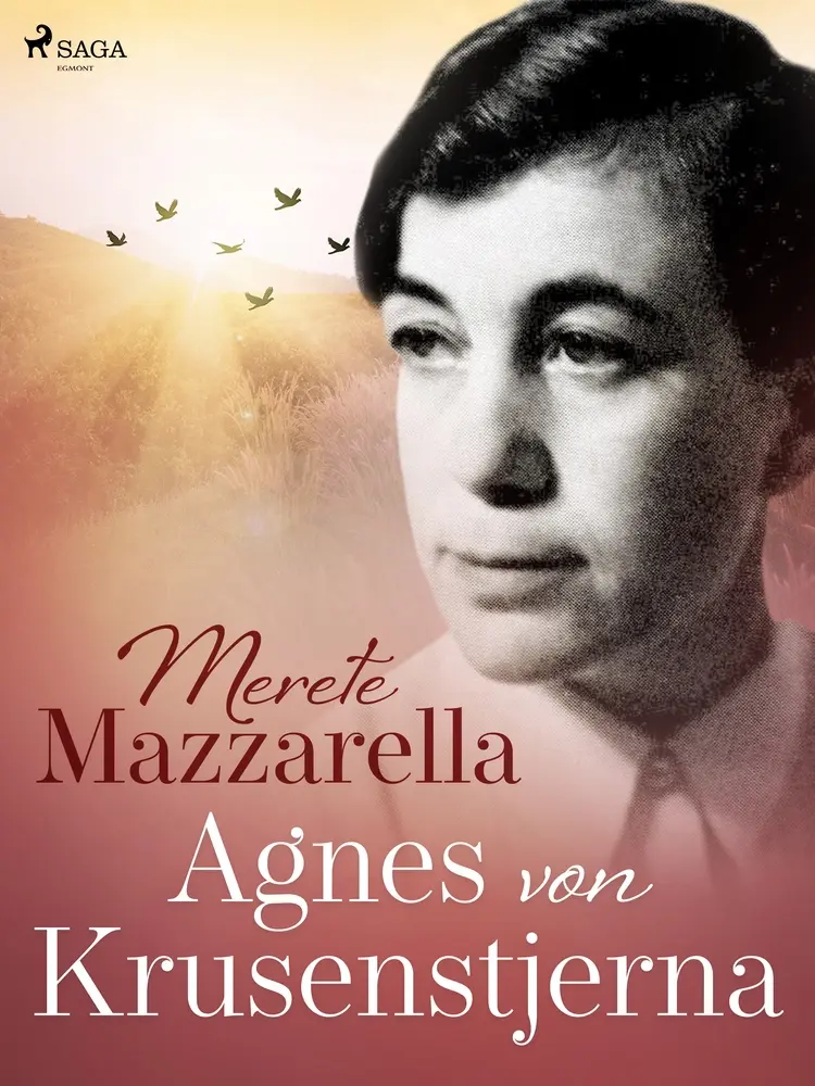 Agnes von Krusenstjerna af Merete Mazzarella
