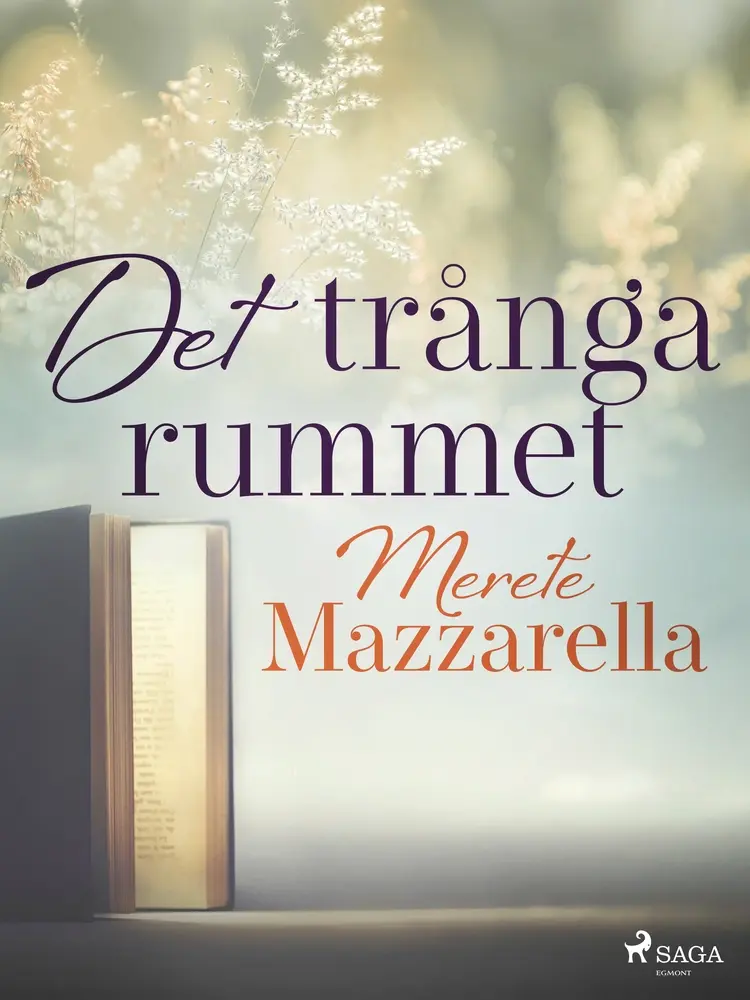 Det trånga rummet af Merete Mazzarella