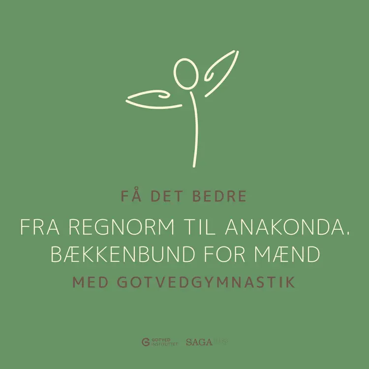 Fra regnorm til Anakonda. Bækkenbund for mænd af Gotvedinstituttet