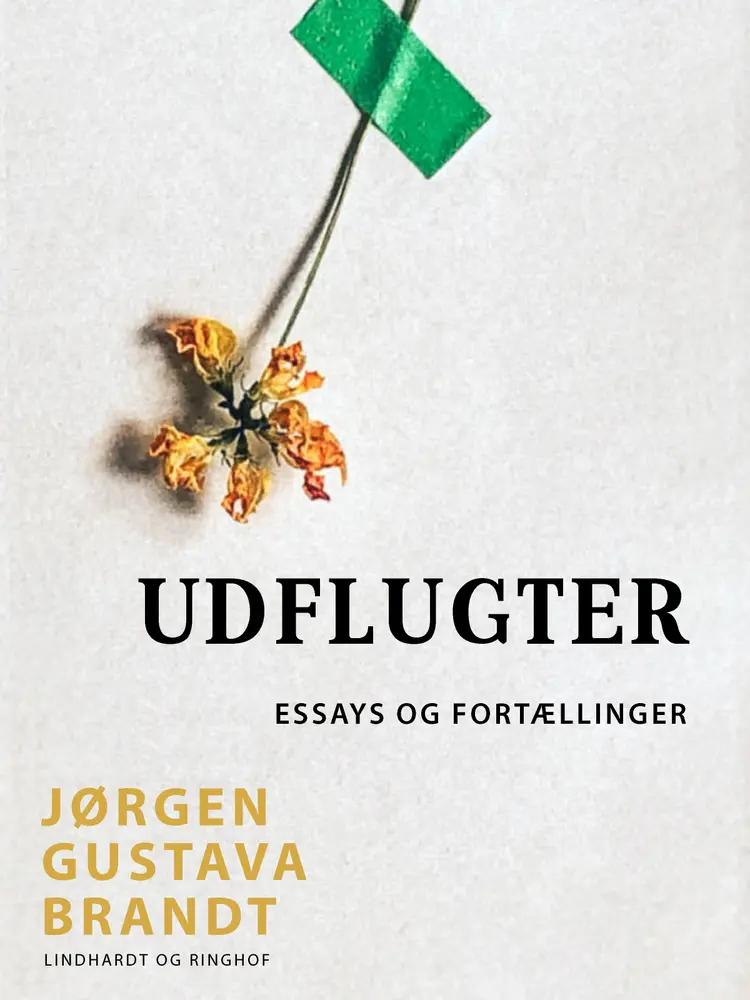Udflugter af Jørgen Gustava Brandt