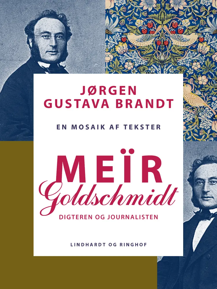 Meïr Goldschmidt. Digteren og journalisten af Jørgen Gustava Brandt