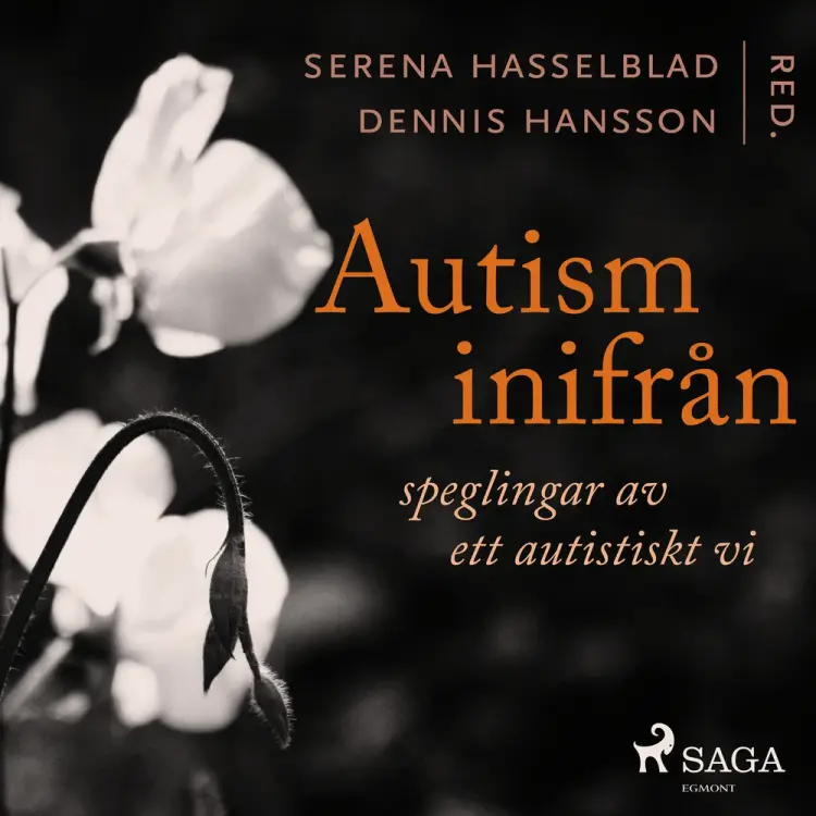 Autism inifrån: Speglingar av ett autistiskt vi af Serena Hasselblad
