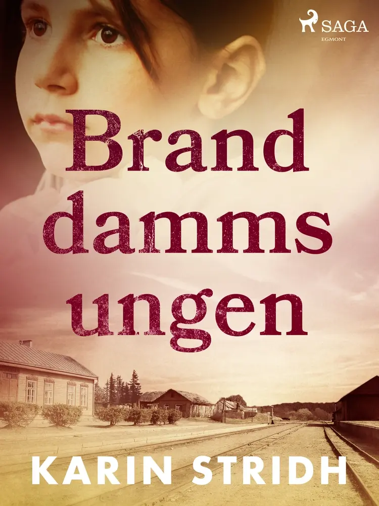 Branddammsungen af Karin Stridh