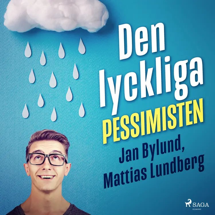 Den lyckliga pessimisten af Mattias Lundberg