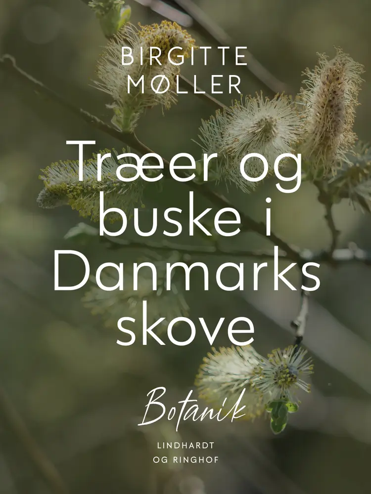 Træer og buske i Danmarks skove af Birgitte Møller