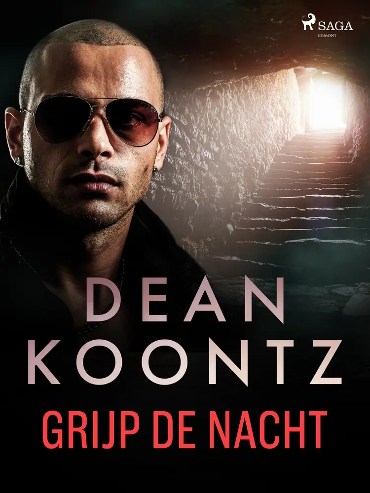Grijp de nacht af Dean Koontz