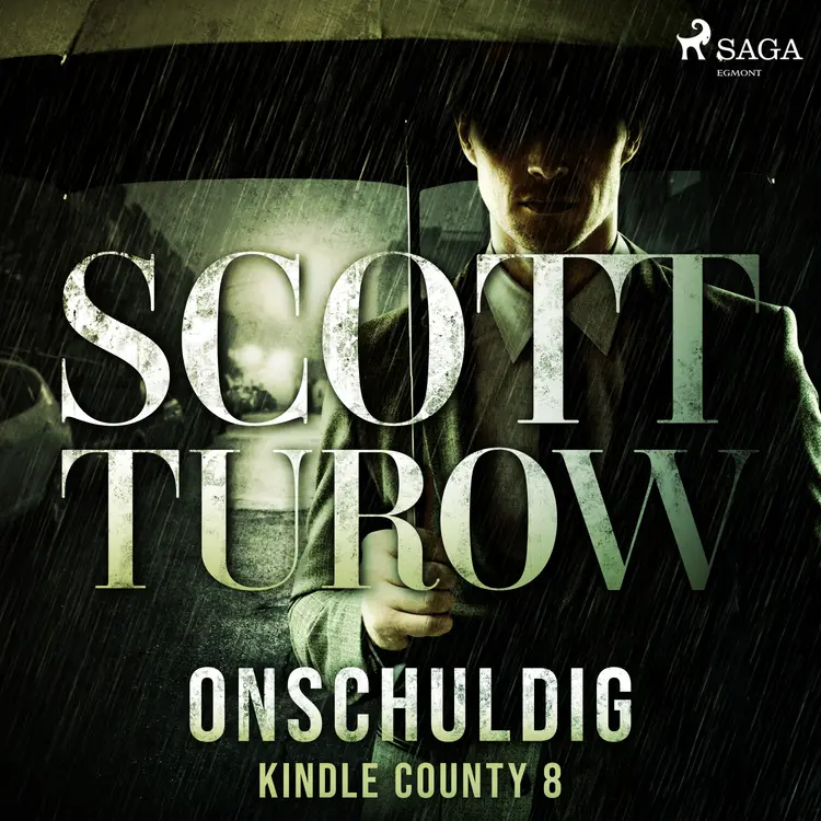 Onschuldig af Scott Turow
