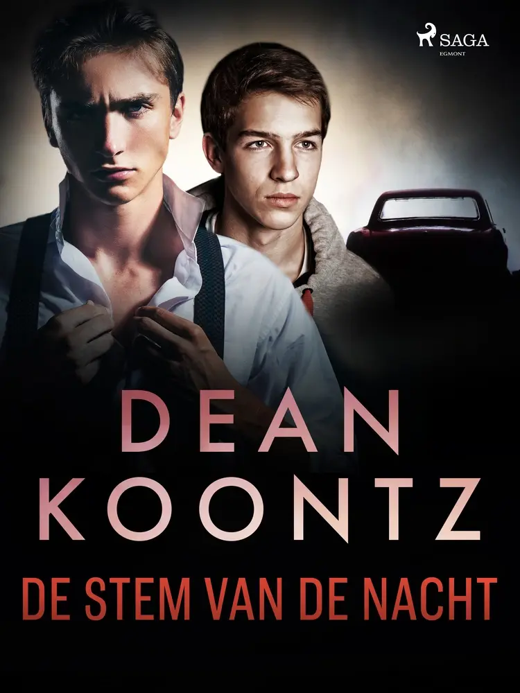 De stem van de nacht af Dean Koontz