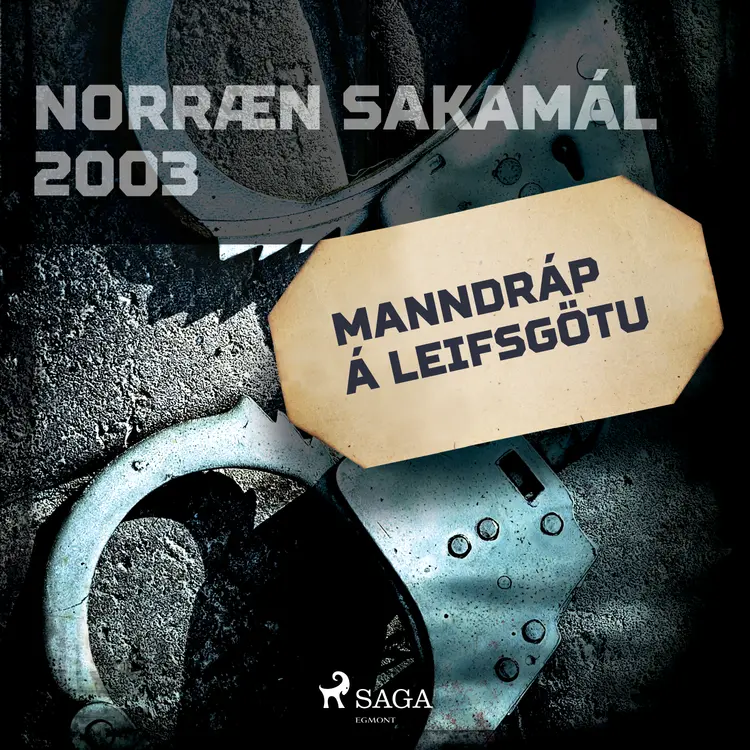 Manndráp á Leifsgötu af Ýmsir