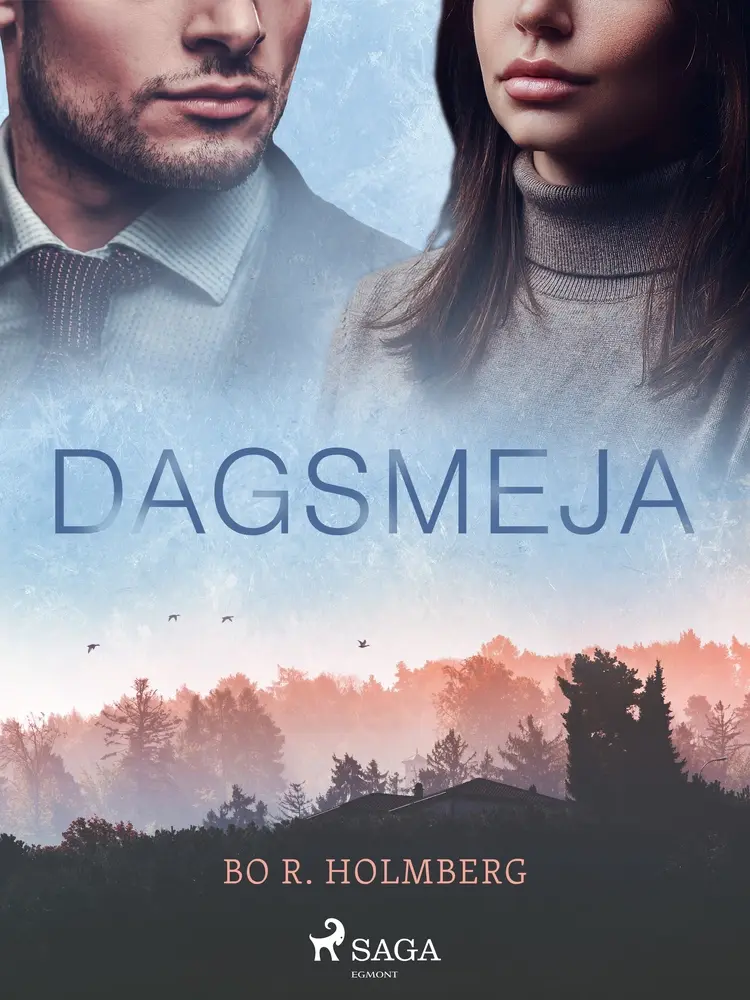 Dagsmeja af Bo R. Holmberg