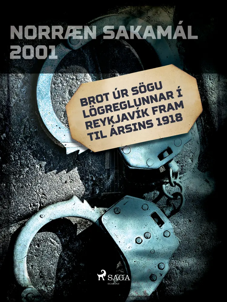 Brot úr sögu lögreglunnar í Reykjavík fram til ársins 1918 af Ýmsir Höfundar