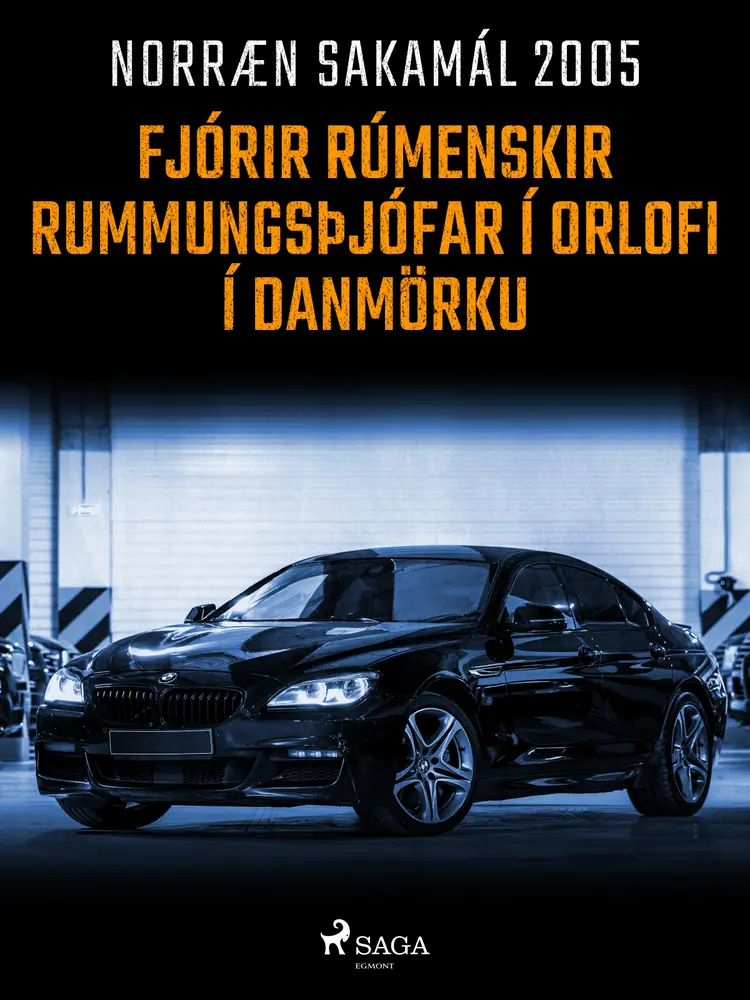 Fjórir rúmenskir rummungsþjófar í orlofi í Danmörku af – Ýmsir