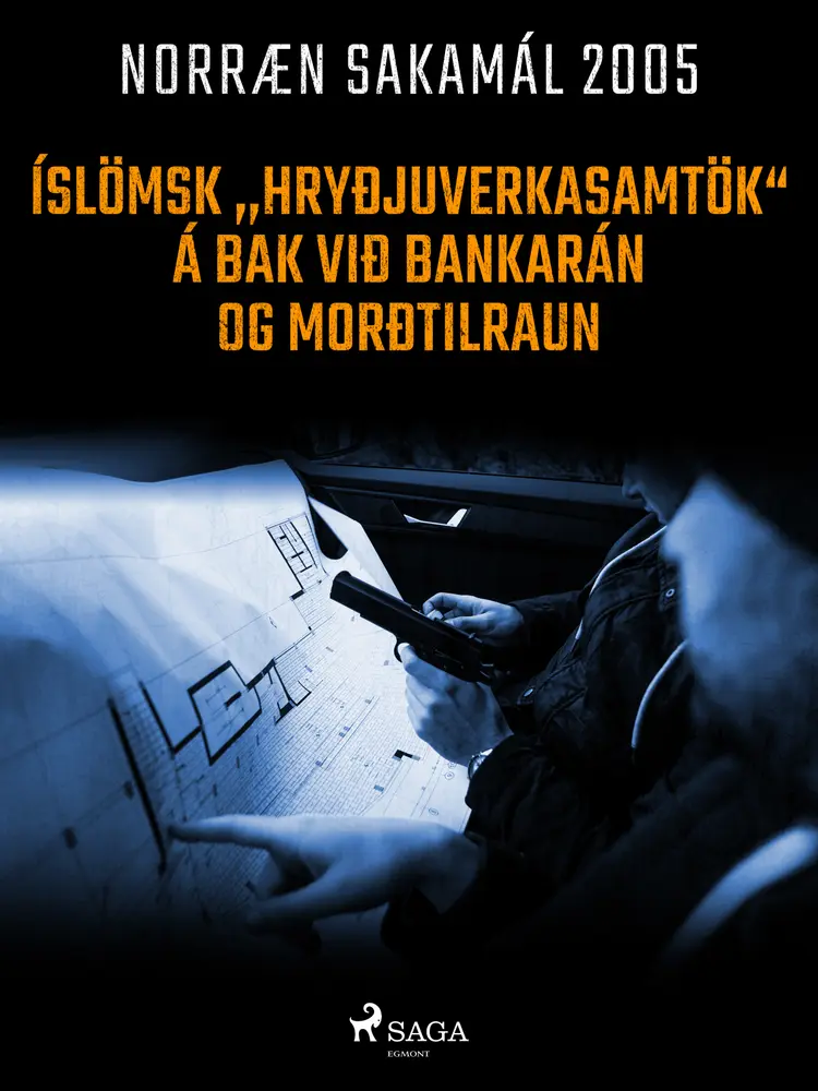 Íslömsk ,,hryðjuverkasamtök'' á bak við bankarán og morðtilraun af – Ýmsir