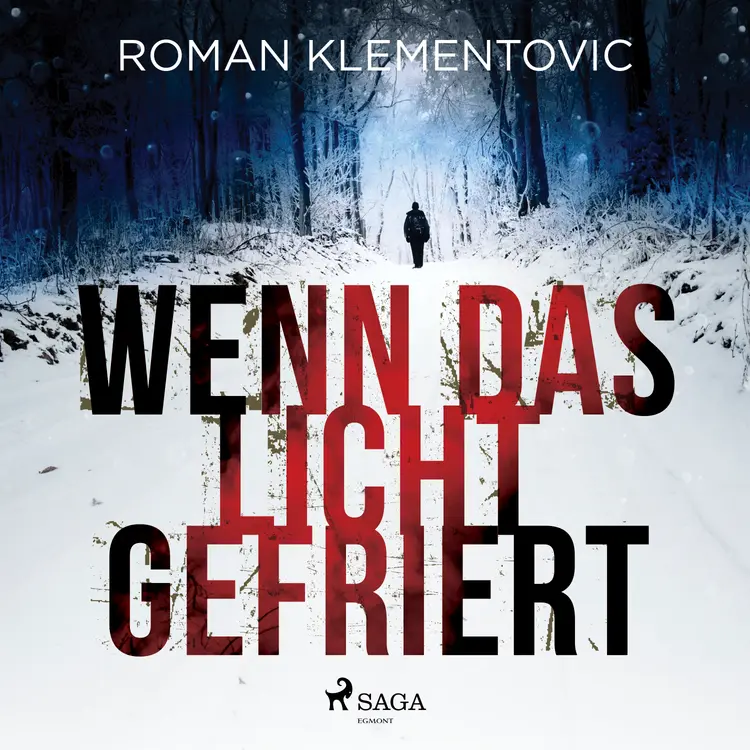 Wenn das Licht gefriert af Roman Klementovic