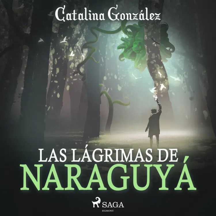 Las lágrimas de Naraguyá af Catalina González