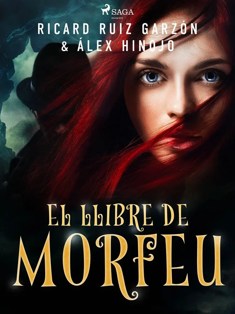 El llibre de Morfeu af Ricard Ruiz Garzón
