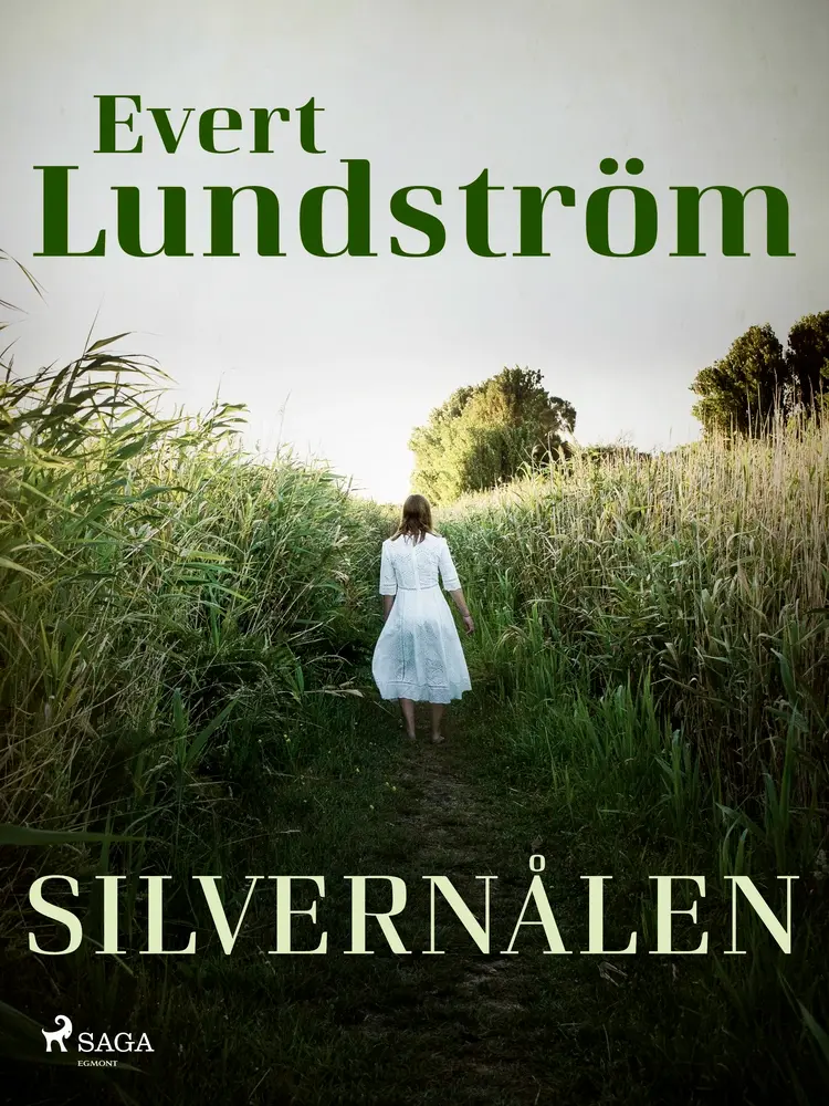 Silvernålen af Evert Lundström