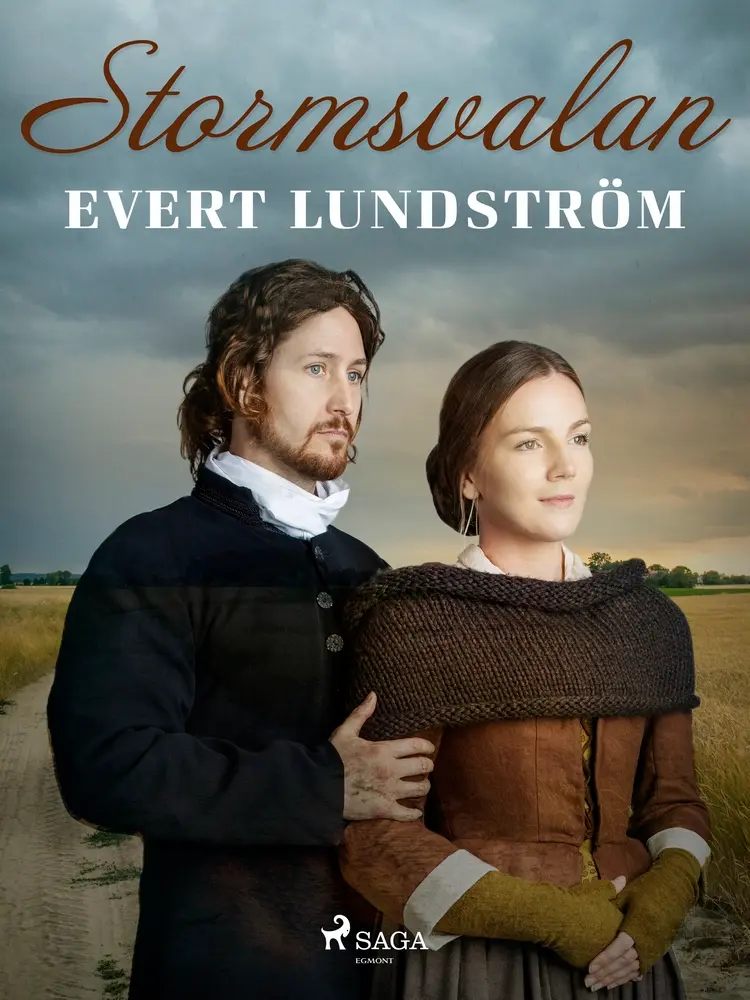 Stormsvalan af Evert Lundström