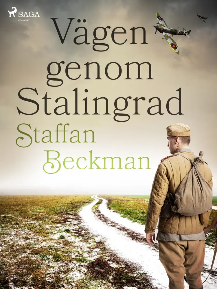 Vägen genom Stalingrad af Staffan Beckman