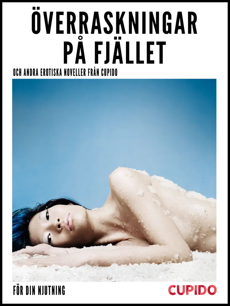 Överraskningar på fjället - och andra erotiska noveller från Cupido af Cupido