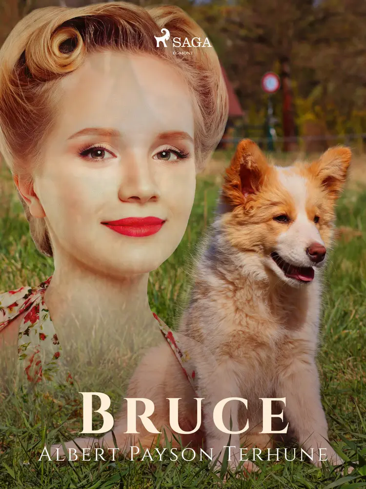 Bruce af Albert Payson Terhune