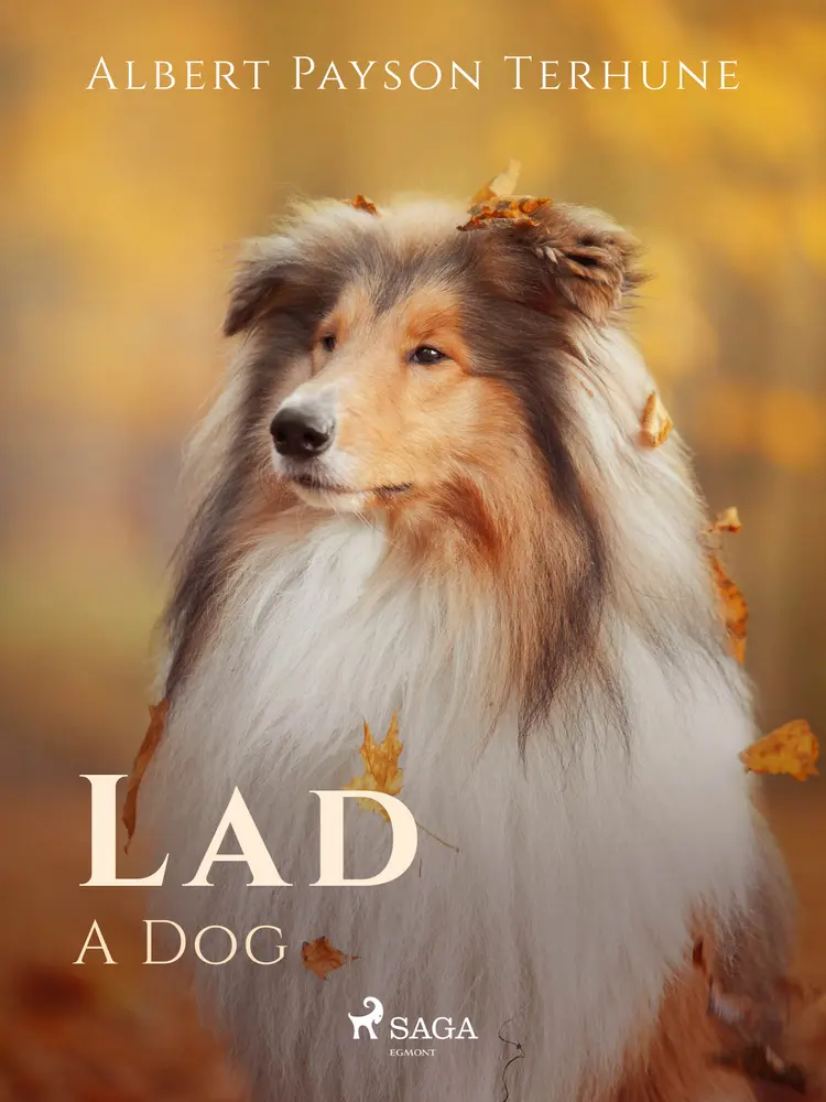 Lad: A Dog af Albert Payson Terhune