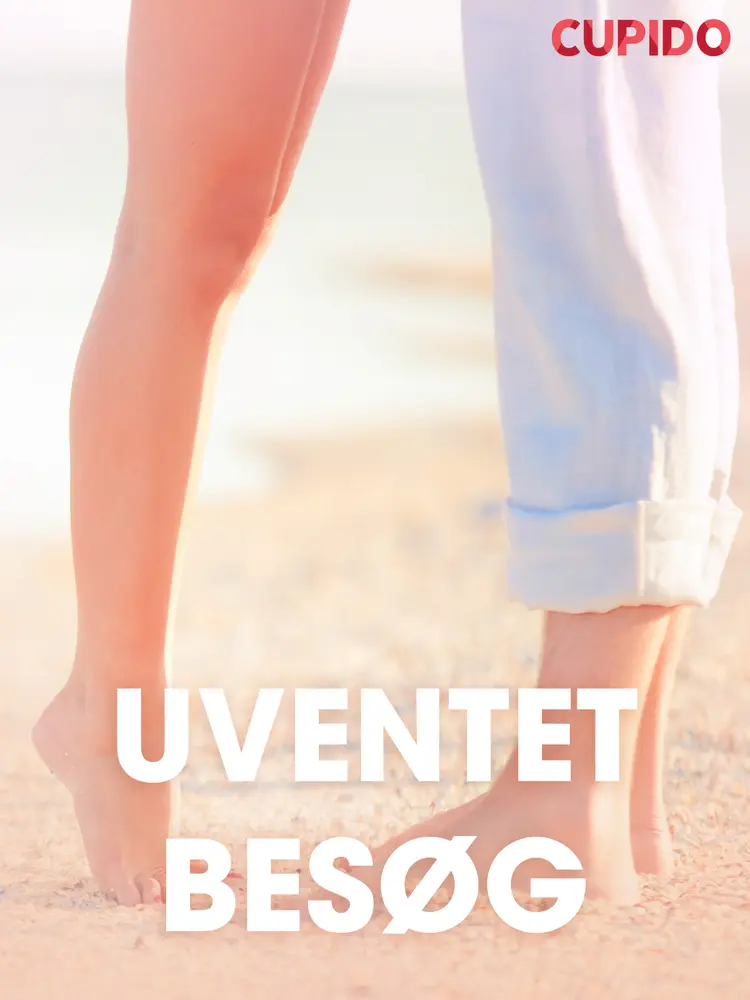 Uventet besøg - erotiske noveller af Cupido