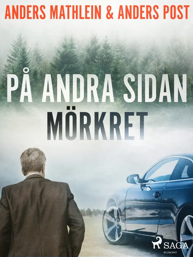 På andra sidan mörkret af Anders Mathlein