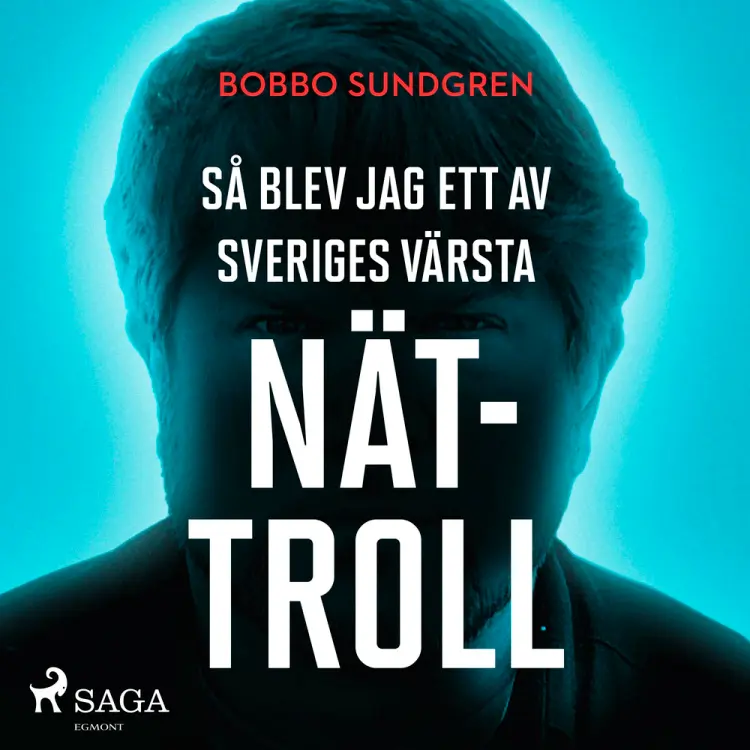 Så blev jag ett av Sveriges värsta nättroll af Bobbo Sundgren