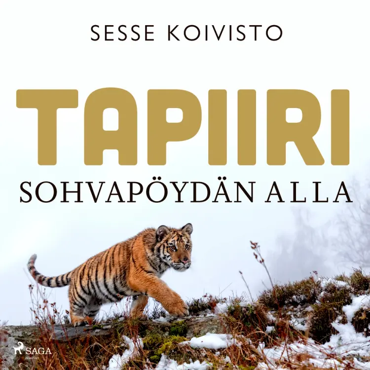 Tapiiri sohvapöydän alla af Sesse Koivisto