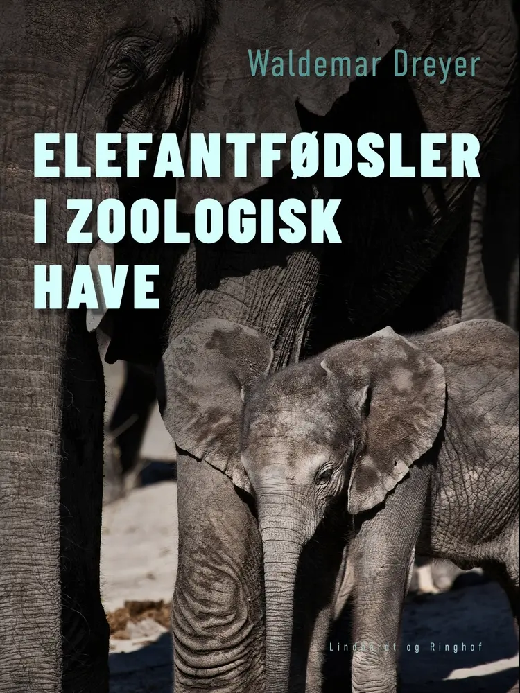 Elefantfødsler i Zoologisk Have af Waldemar Dreyer