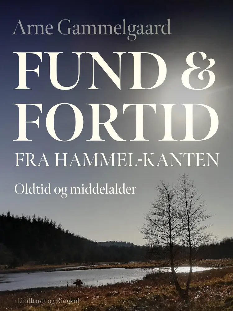 Fund og fortid fra Hammel-kanten. Oldtid og middelalder af Arne Gammelgaard
