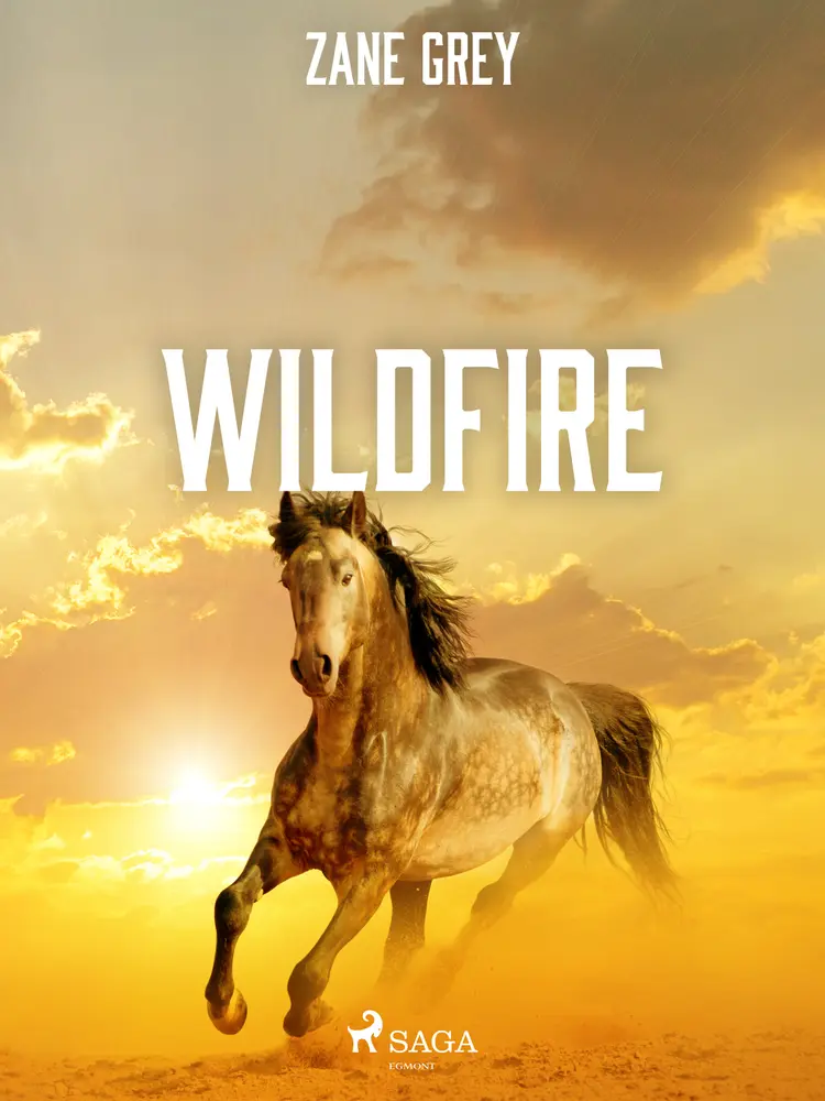 Wildfire af Zane Grey