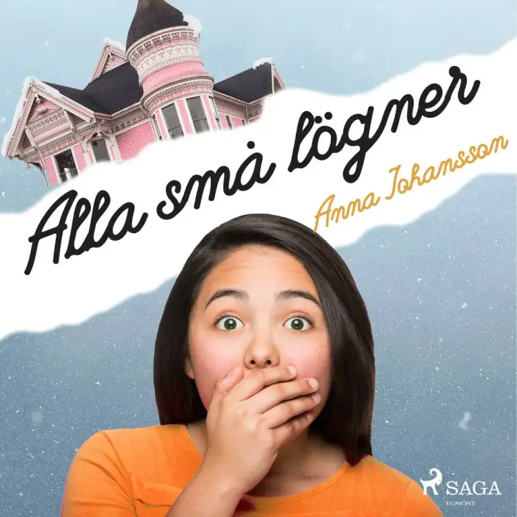Alla små lögner af Anna Johansson